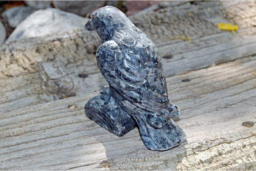 Crystal Wholesale Larvikite Raven Crystal Carving - Medium