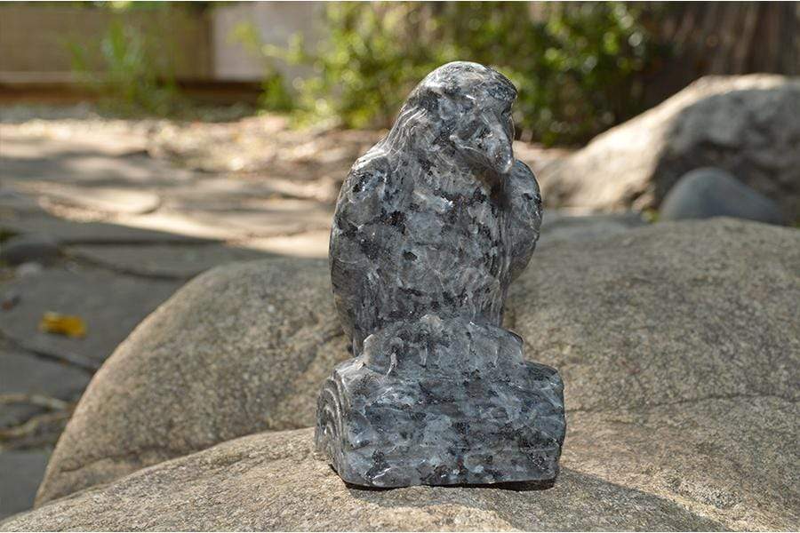 Crystal Wholesale Larvikite Raven Crystal Carving - Medium
