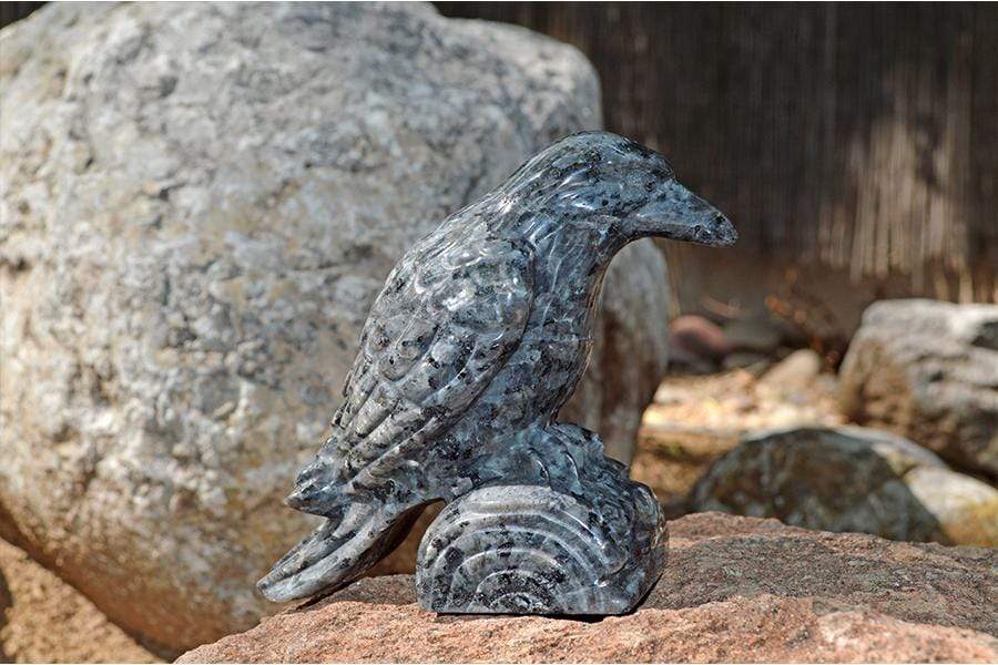 Crystal Wholesale Larvikite Raven Crystal Carving - Medium