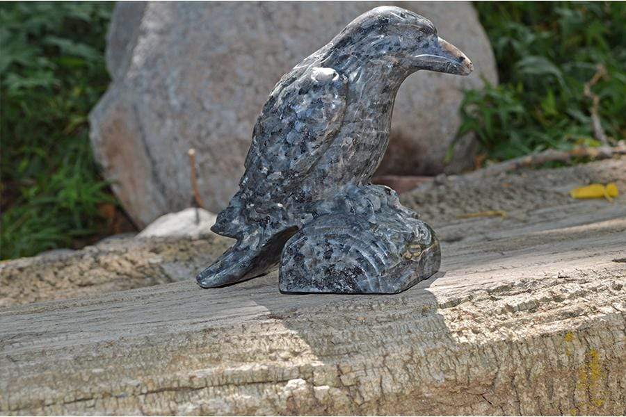 Crystal Wholesale Larvikite Raven Crystal Carving - Medium