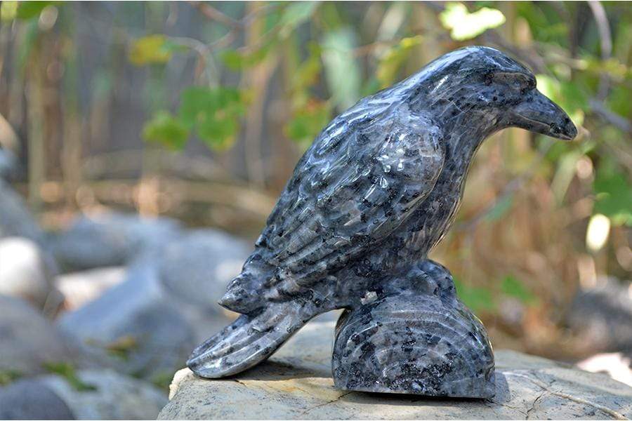 Crystal Wholesale Larvikite Raven Crystal Carving - Medium