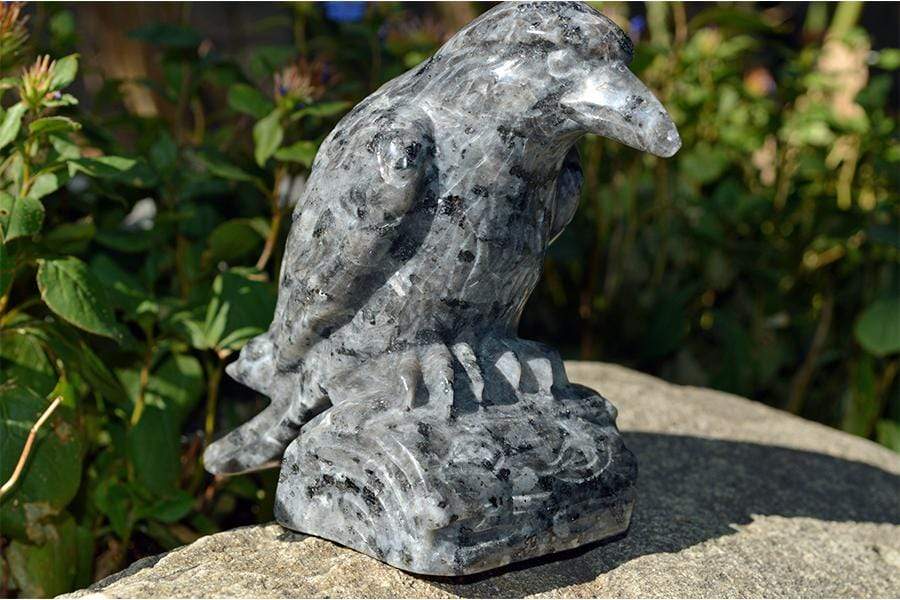 Crystal Wholesale Larvikite Raven Crystal Carving - Medium