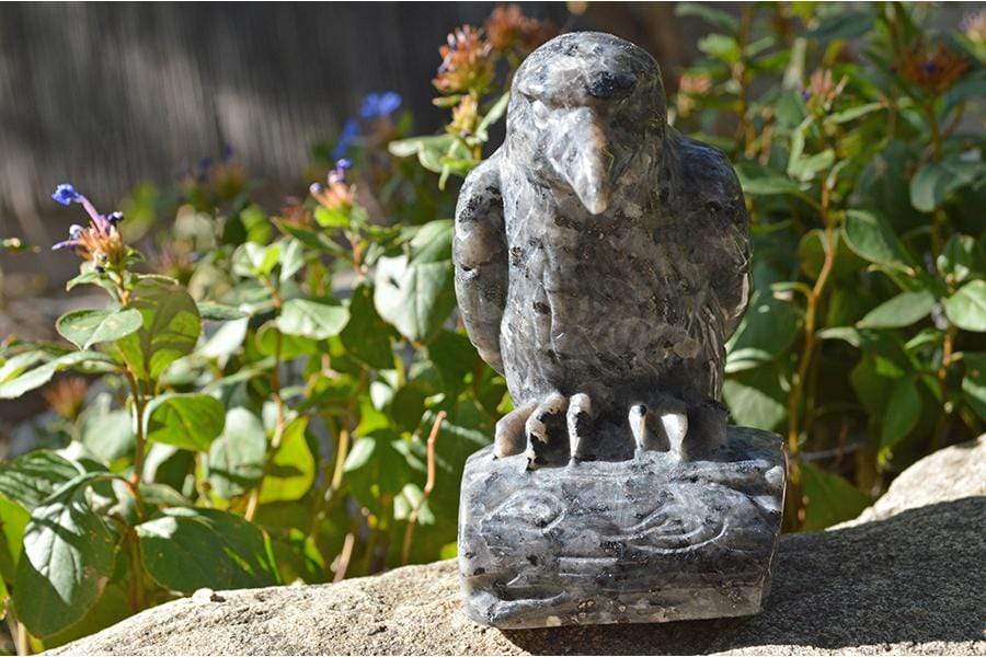 Crystal Wholesale Larvikite Raven Crystal Carving - Medium
