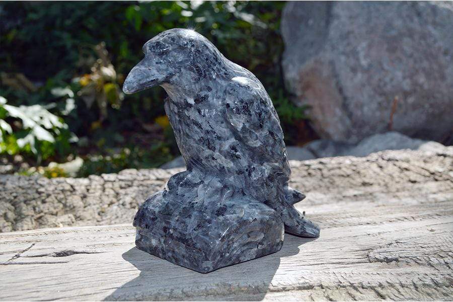 Crystal Wholesale Larvikite Raven Crystal Carving - Medium