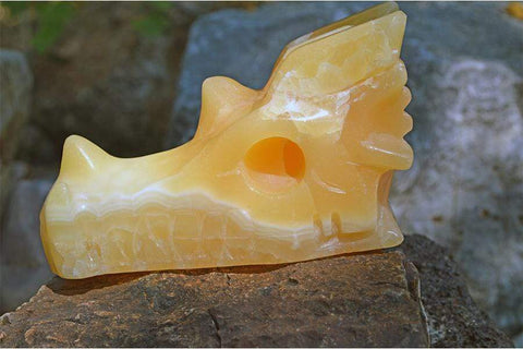 Orange Calcite (with White Inclusions) Crystal Dragon Skull Carving - Medium