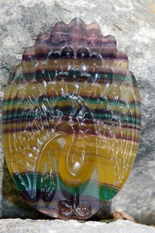 Rainbow Fluorite Hand Carved Peacock I