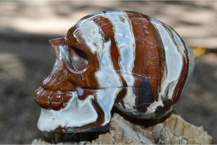 Crystal Wholesale RARE Red and White Moss Agate Crystal Skull Carving - Medium