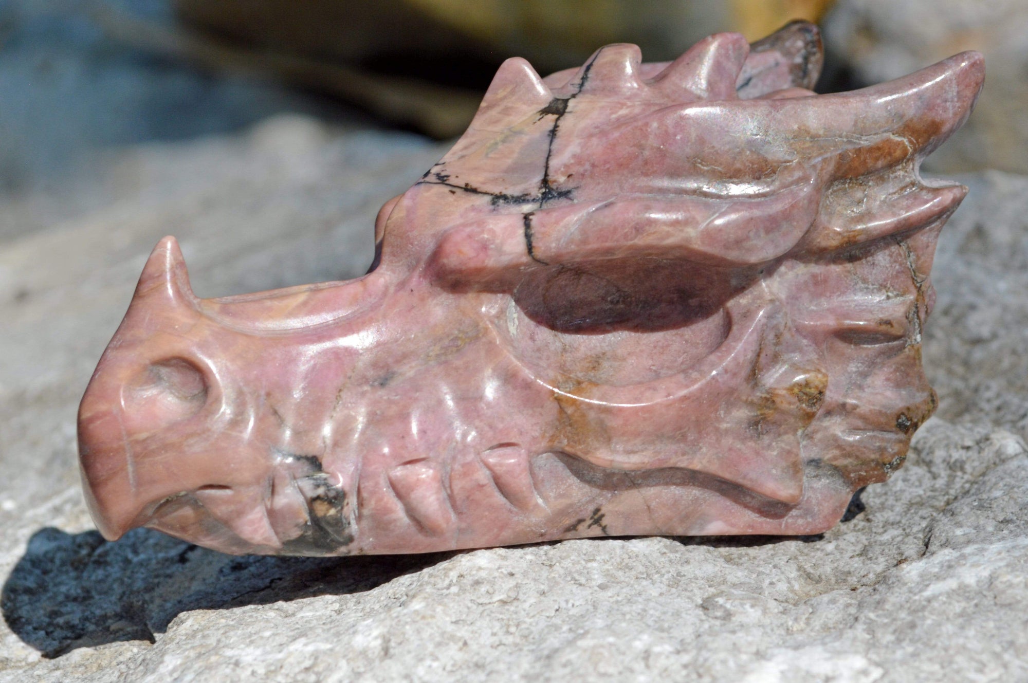 Crystal Wholesale Rhodonite Crystal Dragon Skull Carving - Small