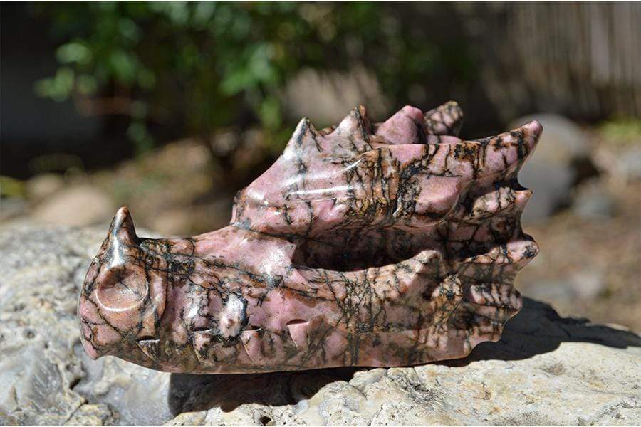 Crystal Wholesale Rhodonite Crystal Dragon Skull Carving - Small