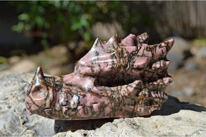 Crystal Wholesale Rhodonite Crystal Dragon Skull Carving - Small