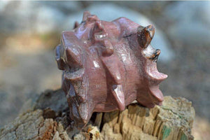 Crystal Wholesale Rhodonite Crystal Dragon Skull Carving - Small