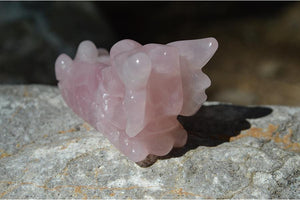 Crystal Wholesale Rose Quartz Crystal Dragon Skull Carving Mini