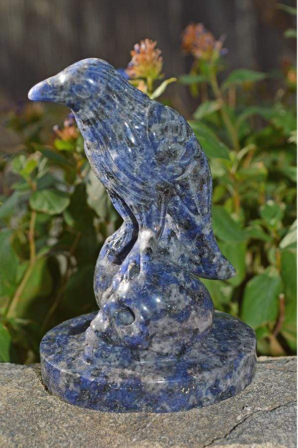 Crystal Wholesale Sodalite Raven Skulls Crystal Carving - Medium