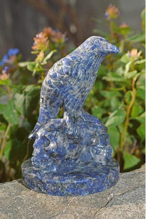 Crystal Wholesale Sodalite Raven Skulls Crystal Carving - Medium