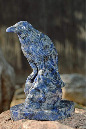 Crystal Wholesale Sodalite Raven Skulls Crystal Carving - Medium