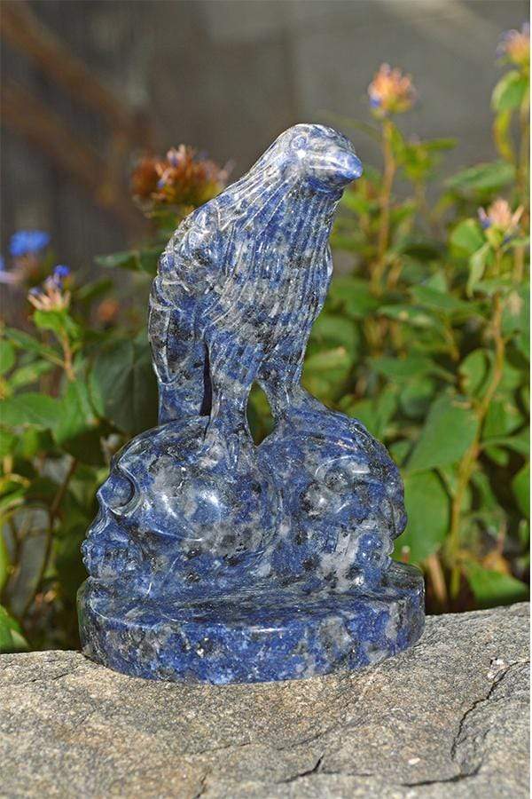 Crystal Wholesale Sodalite Raven Skulls Crystal Carving - Medium