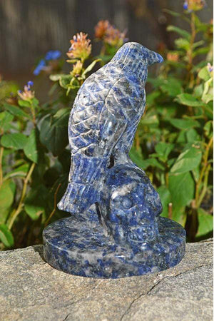 Crystal Wholesale Sodalite Raven Skulls Crystal Carving - Medium