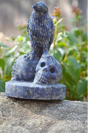 Crystal Wholesale Sodalite Raven Skulls Crystal Carving - Medium