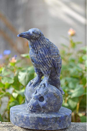 Crystal Wholesale Sodalite Raven Skulls Crystal Carving - Medium