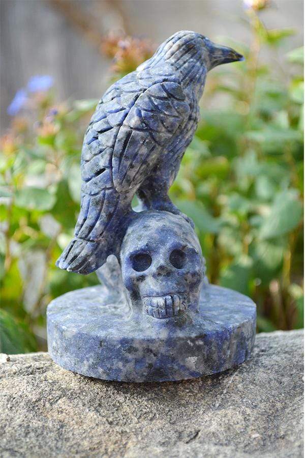 Crystal Wholesale Sodalite Raven Skulls Crystal Carving - Medium