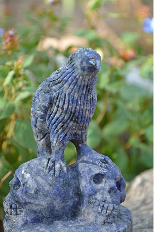 Crystal Wholesale Sodalite Raven Skulls Crystal Carving - Medium