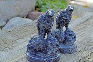 Crystal Wholesale Sodalite Raven Skulls Crystal Carving - Medium
