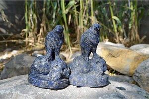 Crystal Wholesale Sodalite Raven Skulls Crystal Carving - Medium