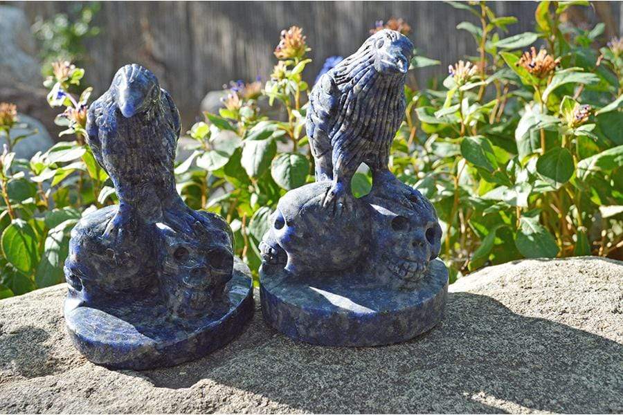 Sodalite Raven Skulls Crystal Carving - Medium