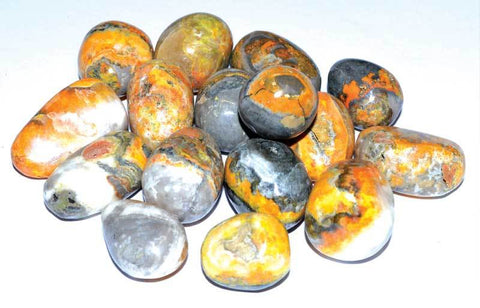 Jasper, Bumble Bee Tumbled Stones Crystals | 1 lb