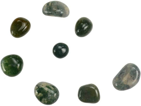 Moss Agate Tumbled Stones Crystals | 1 lb