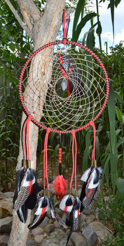 Healing Energy Series One - Large Dreamcatcher