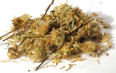 Arnica Flower, whole 1lb. (Heterotheca Inuloides)