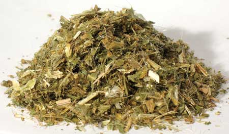 Herbals Blessed Thistle, 1lb. (Cnisus Benedictus)
