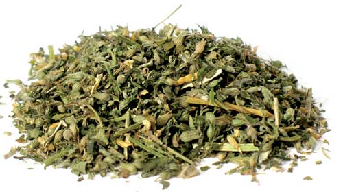 Herbals Catnip, cut 1lb.  (Nepeta Cataria)