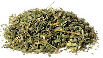 Herbals Catnip, cut 2oz.  (Nepeta Cataria)