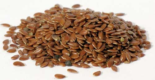 Flax Seed, 4oz. (Linum Usitatissimum)
