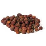 Herbals Hawthorn Berries, whole 1oz.  (Crataegus Laevigata)