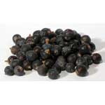 Juniper Berries, whole 1oz.  (Juniperus Communis)