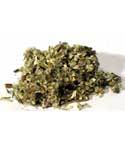 Herbals Mugwort, cut 1oz. (Artemisia Vulgaris)