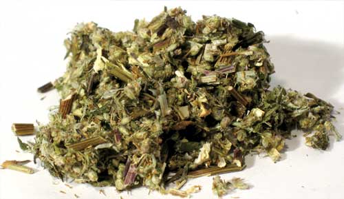 Herbals Mugwort, cut 2oz.  (Artemisia Vulgaris)