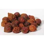 Herbals Rose Hips, whole 1oz.  (Rosa Canina)