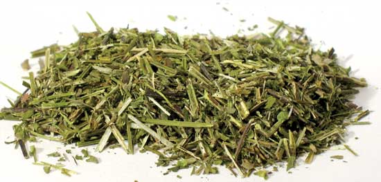 Herbals Scullcap, cut 1lb. (Scutelateriflora Lateriflora)