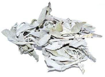 Herbals White Sage, 1oz. (Salvia Apiana)