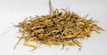 Herbals Witches Grass, cut 1lb. (Agropryon Repens)