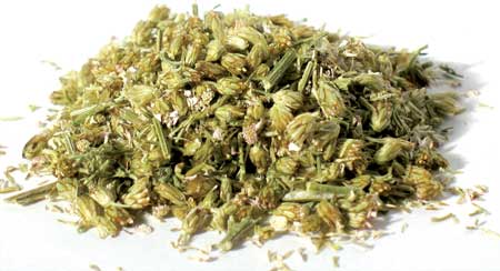 Herbals Yarrow Flower, 1lb.  (Achillea Millefolium)