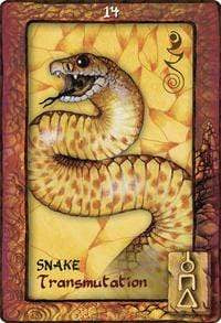 Oracle Cards Animal Dreaming Oracle by Scott Alexander King & Karen Branchflower