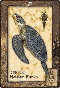 Oracle Cards Animal Dreaming Oracle by Scott Alexander King & Karen Branchflower
