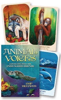 Oracle Cards Animal Voices Oracle by Chip Richard and Susan Farrell