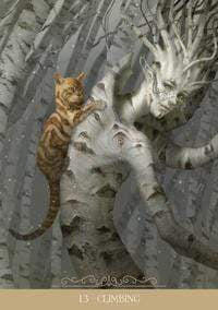 Oracle Cards Barbieri Fantasy Cats Oracle by Paolo Barbieri