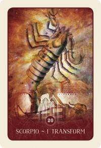 Oracle Cards Black Moon Astrology Cards by Susan Sheppard, Jane Marin